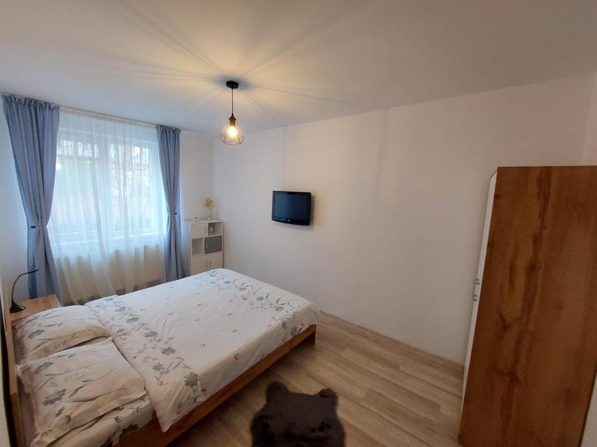Youth Central Apartment Târgu-Mureş Buitenkant foto